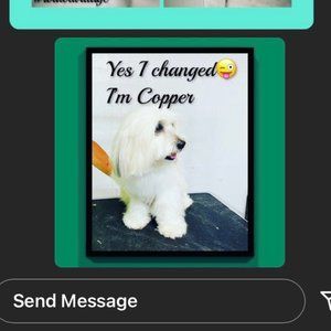 EVERYTHING but COOPER